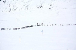 Stand in der Wettkampfbeschreibung nicht, dass man dies allein durchsteht? Stand in der Wettkampfbeschreibung nicht, dass man dies allein durchsteht?