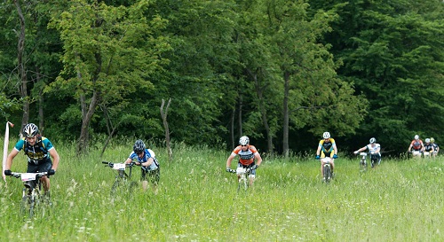 Über Stock und über Stein ... Über Stock und über Stein ...
